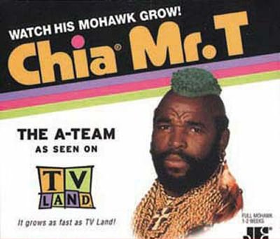 chia-pet.jpg